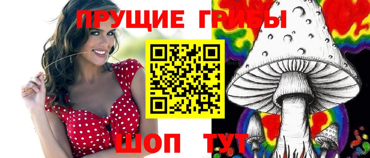 Псилоцибиновые грибы Cubensis  Галлюциногенные грибы мицелий  Среднеуральск  где купить наркотик  Вход с VPN 
