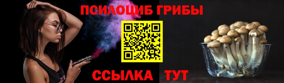 Галлюциногенные грибы GOLDEN TEACHER Среднеуральск